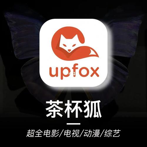 国产精品19久久久久久不卡的相关介绍