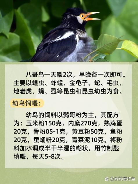 特殊按摩伦理片的相关介绍