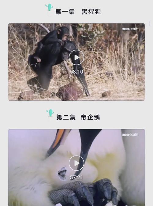 人妻少妇精品国语对白的相关介绍