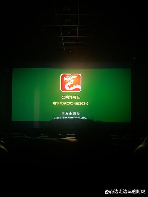 荔枝视频男人影院的相关介绍