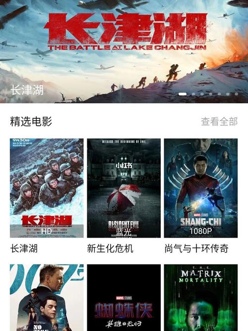熟女av一级大片的相关介绍