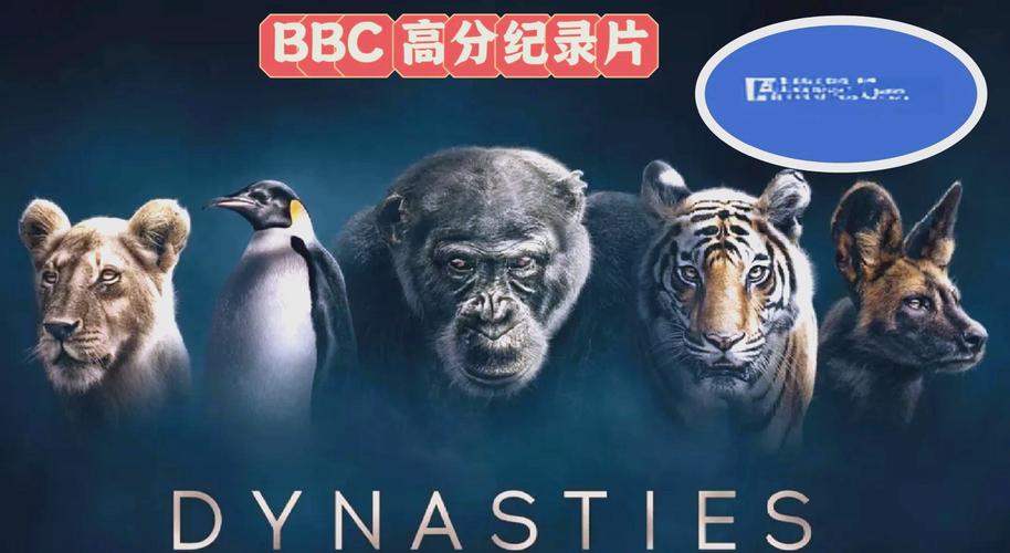 3毛片的相关介绍