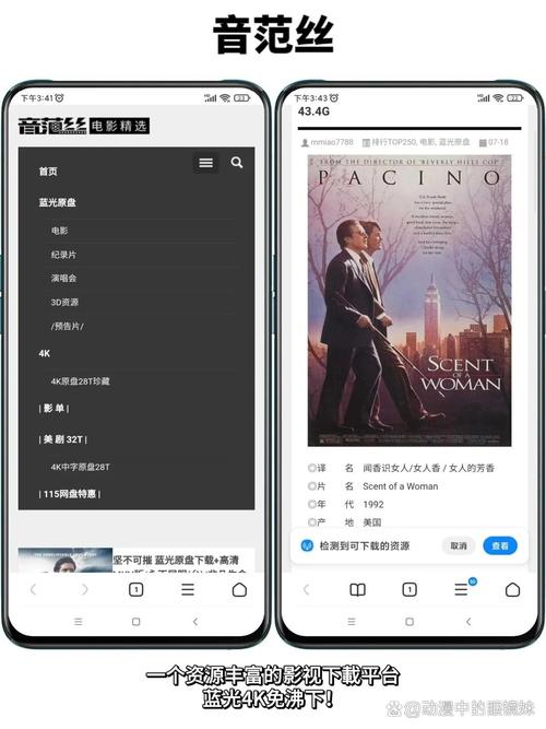 《东京精油按摩》的相关介绍