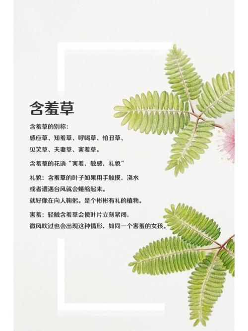 亚洲少妇19p的相关介绍