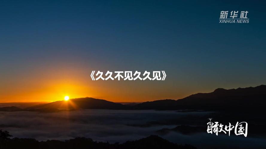 日日伊人综合影院的相关介绍