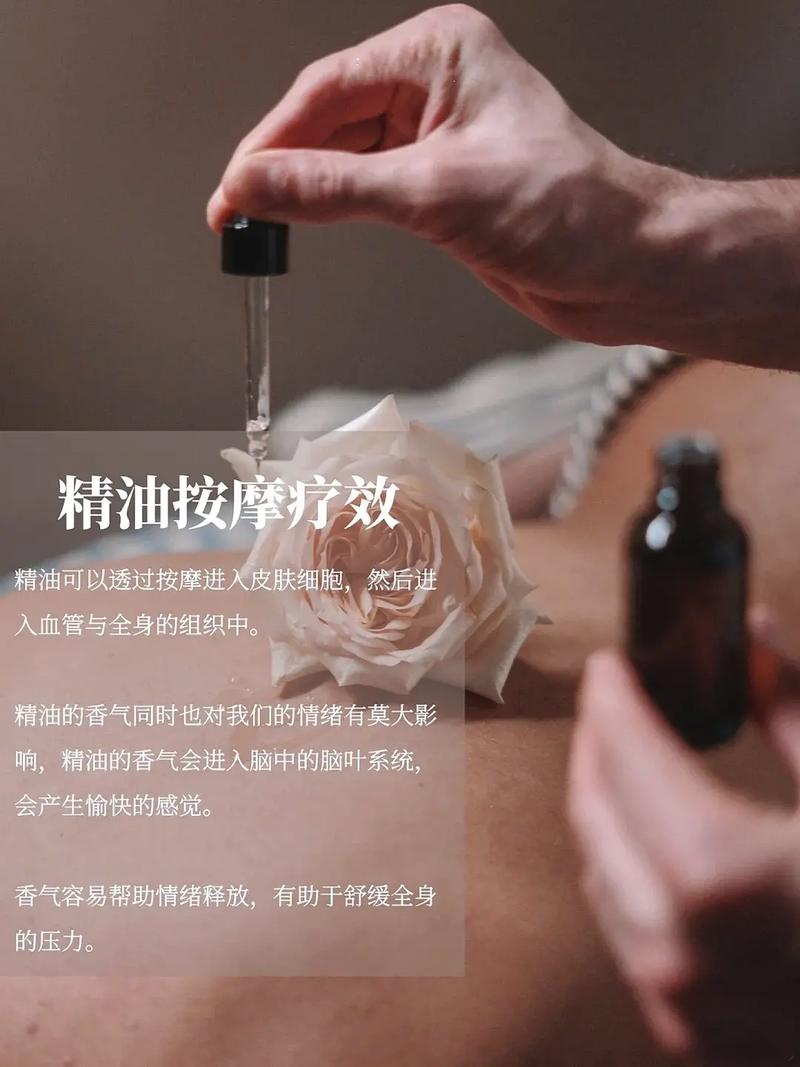 365电影院在线观影指南：最新热映电影免费观看与高清资源推荐