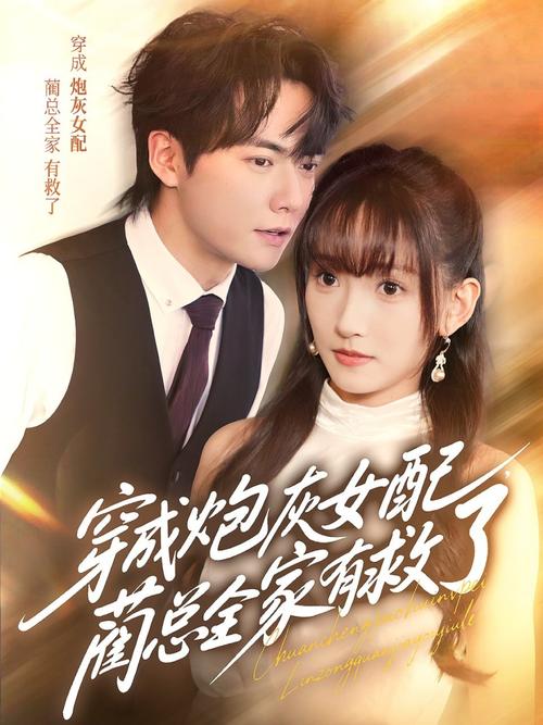 欧美一区二区三区有限公司的相关介绍