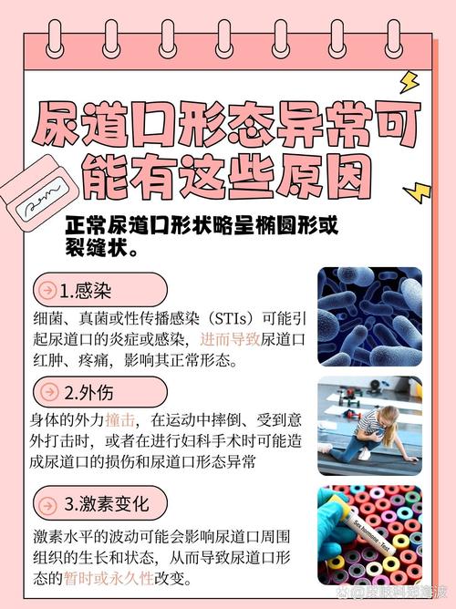 熟女少妇日韩亚洲一区二区三区内射的相关介绍