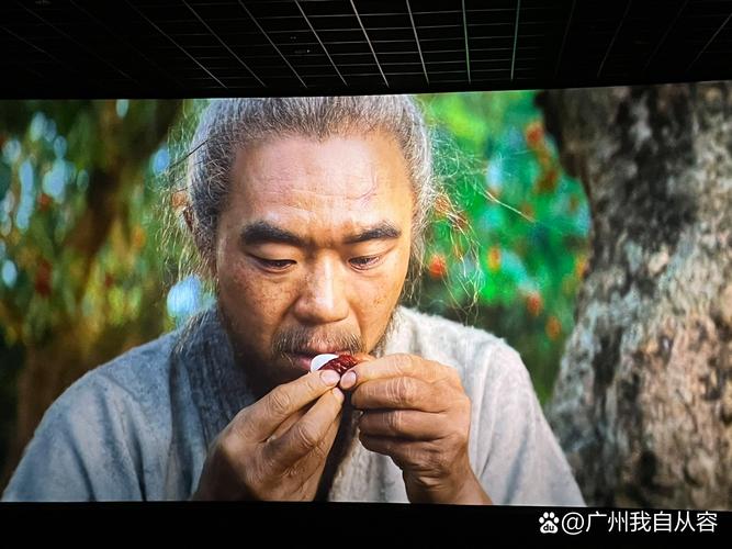 青苹果影院yy6090的相关介绍