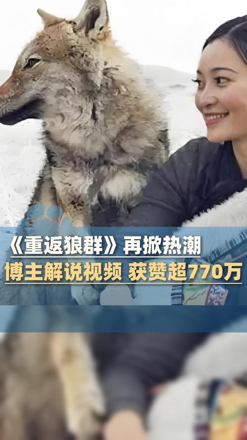 少妇人妻共32部分的相关介绍