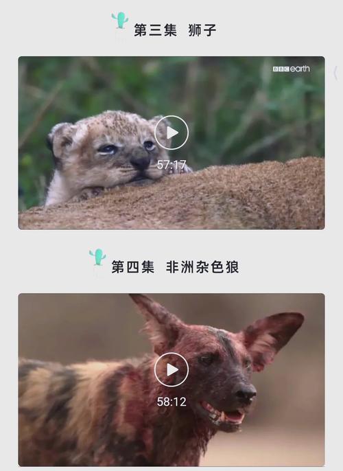 6v电影院的相关介绍