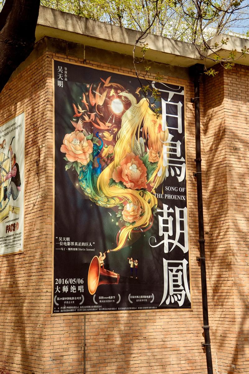 大地影院资源免费观看视频的相关介绍