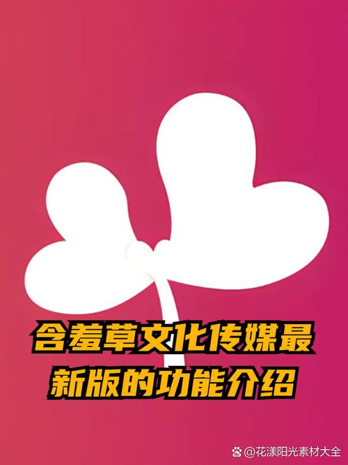 国产日韩欧美一区二区丝袜的相关介绍