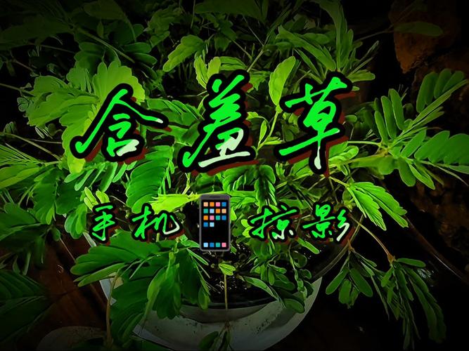 浮力影院1的相关介绍