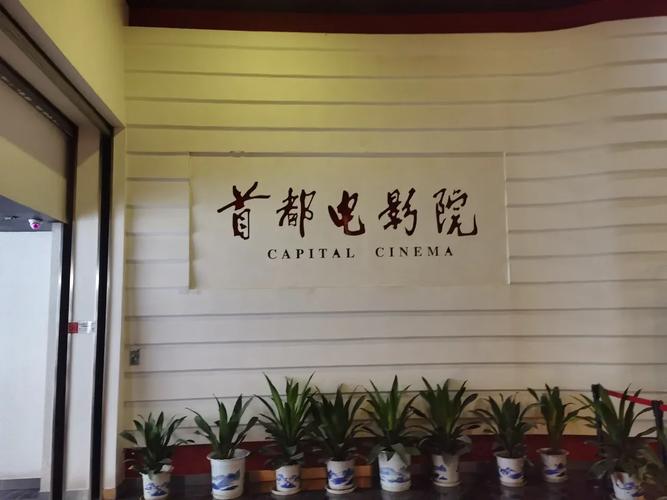 少妇人妻av网的相关介绍
