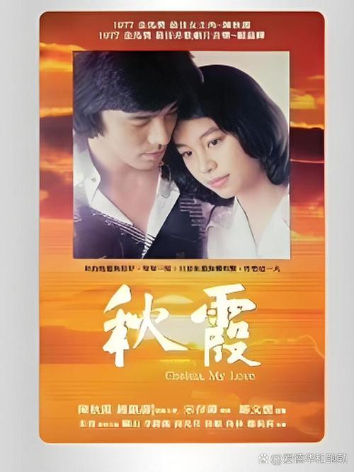 饭团影院app下载的相关介绍