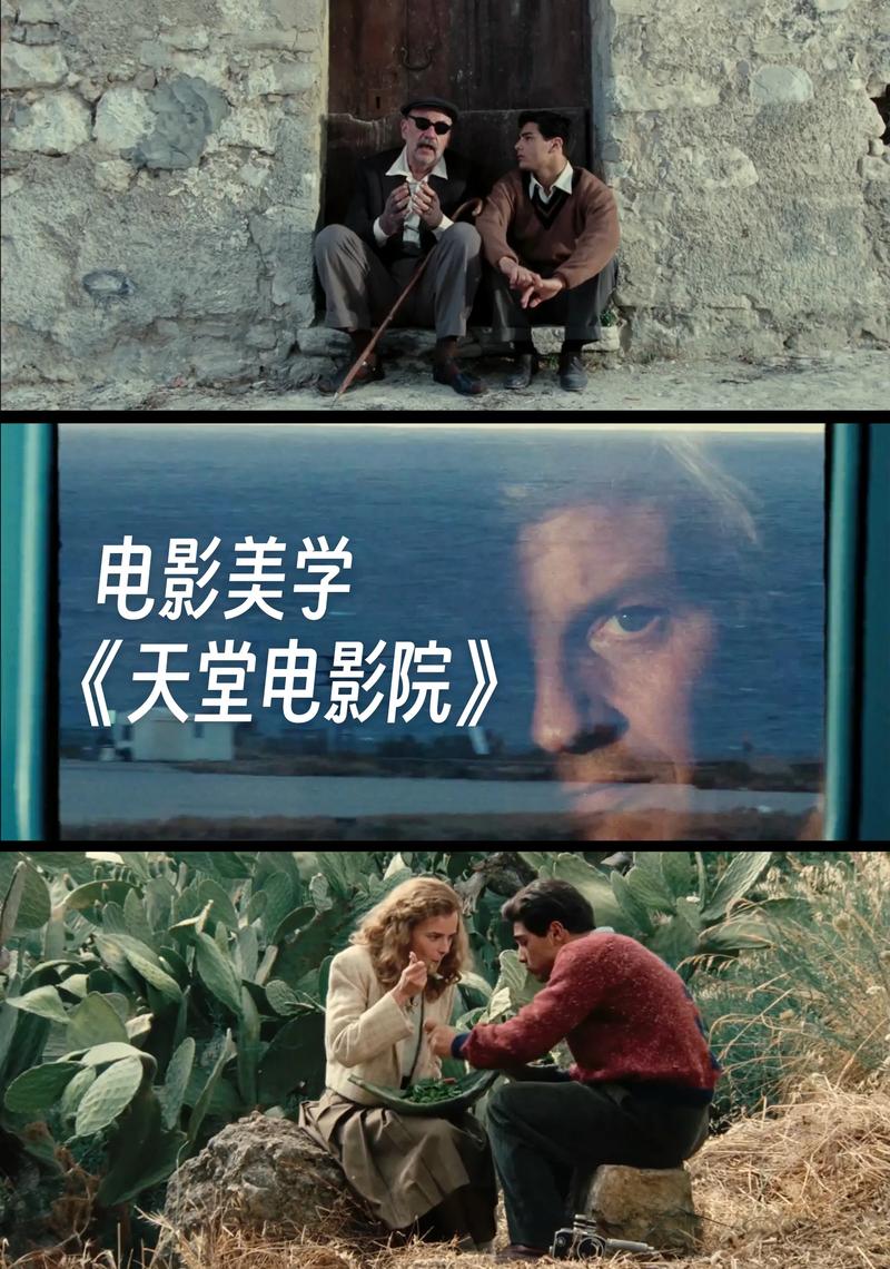 新世纪影院的相关介绍