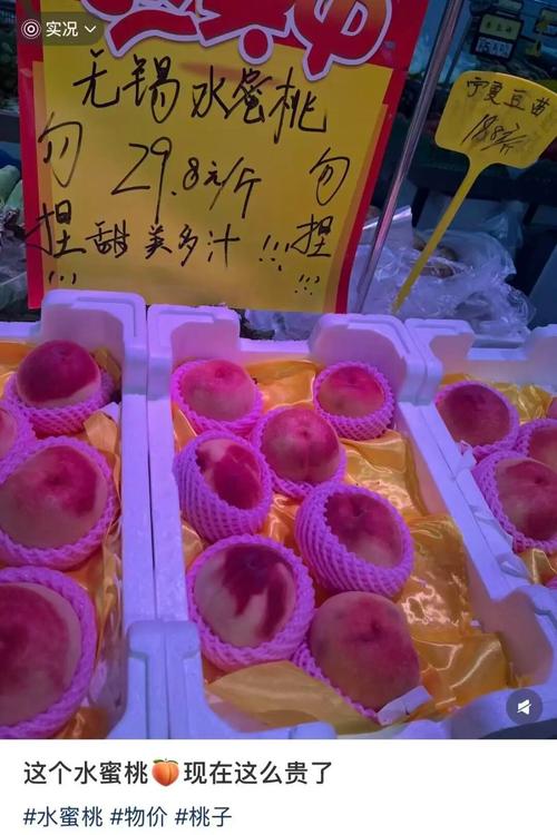 免费视频app网站无需下载的相关介绍