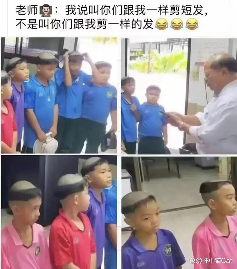 狼牙影院的相关介绍