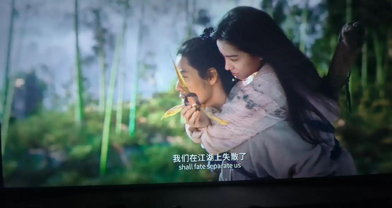 亚洲人成在线影院的相关介绍