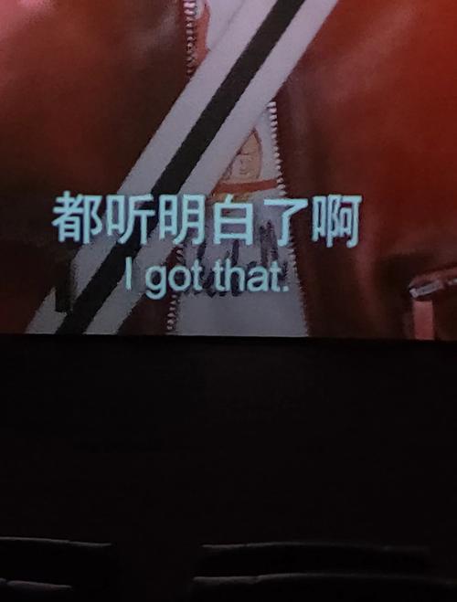 国产 欧美 一区二区三区的相关介绍