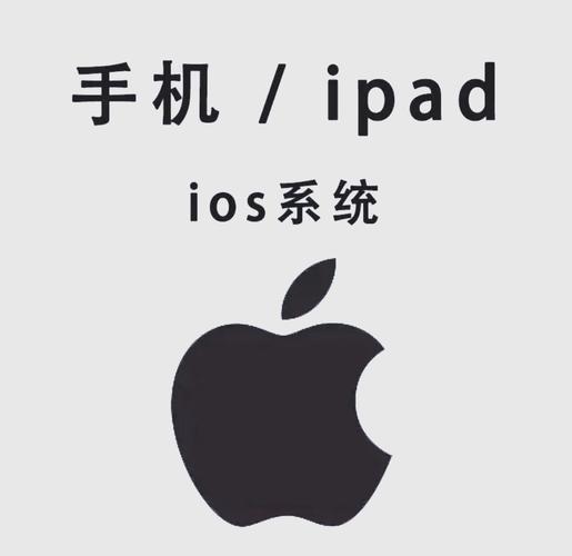 男女xx动漫的相关介绍