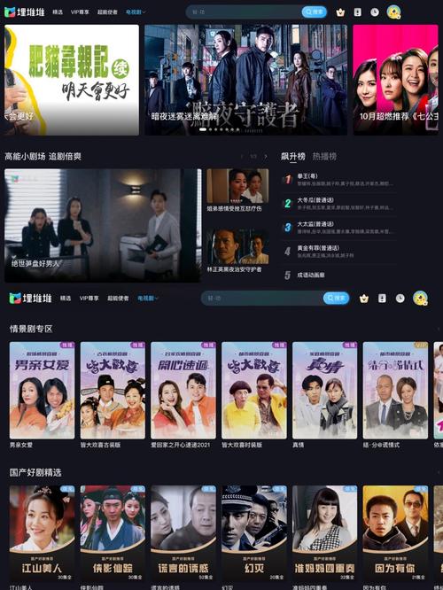 国产久久久激情的相关介绍