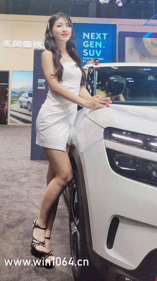 亚洲熟女人妻与欧美风情：跨文化视角下的成熟女性魅力解析