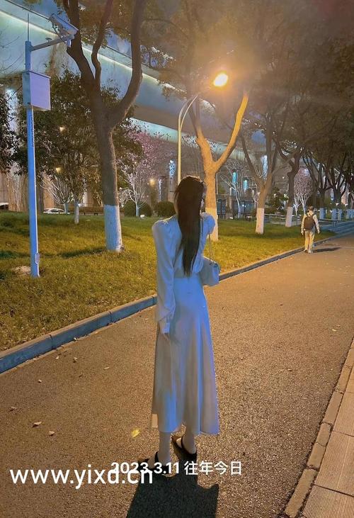 久久久无精品的相关介绍