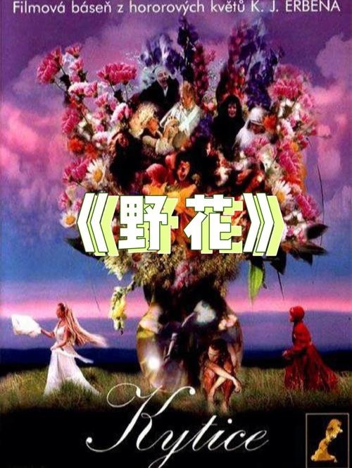 www.亚洲毛片的相关介绍