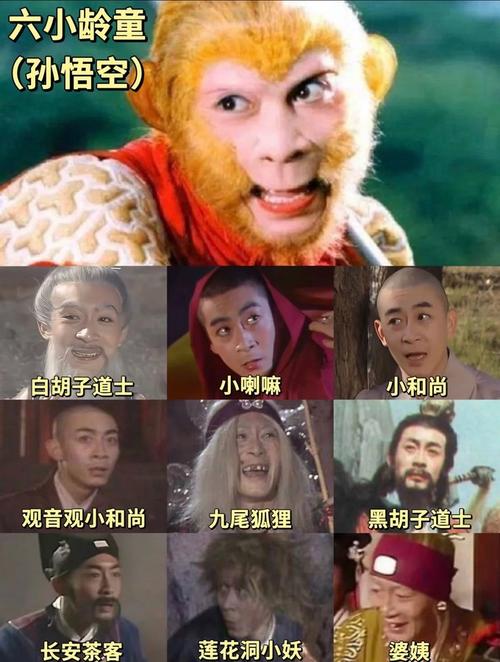 成年人该看的毛片的相关介绍