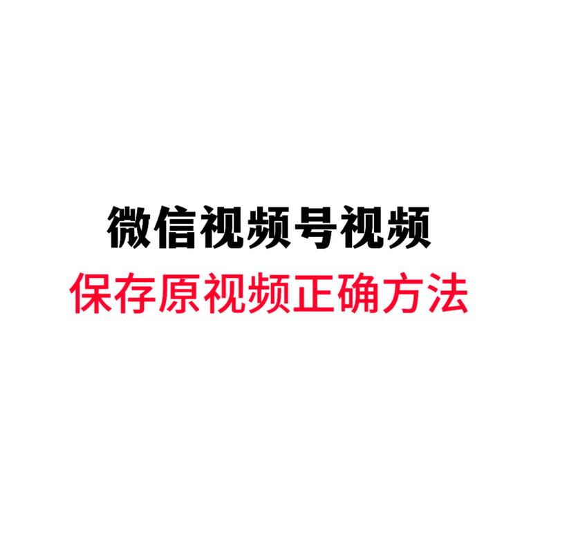 av黑丝免费在线观看的相关介绍