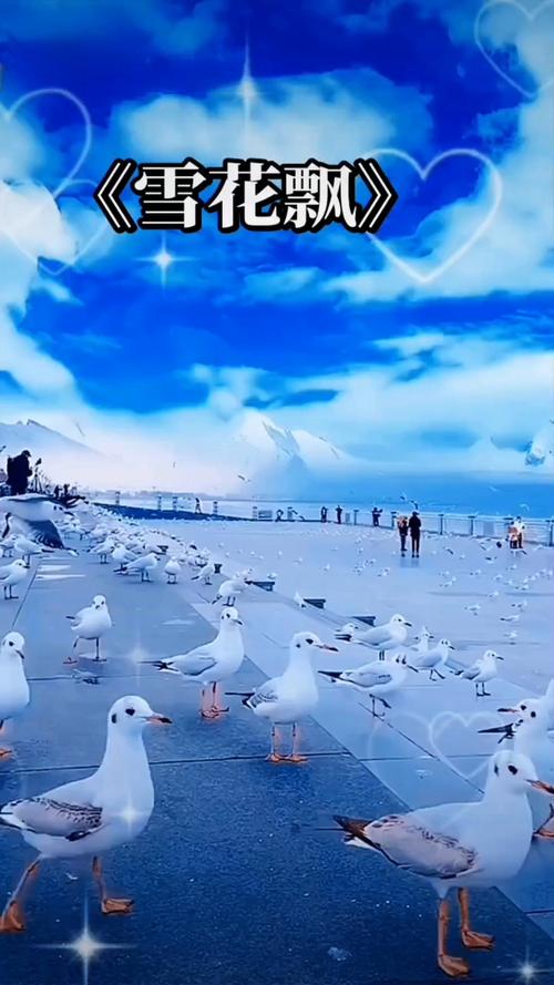 大地影院免费高清电视剧大全的相关介绍