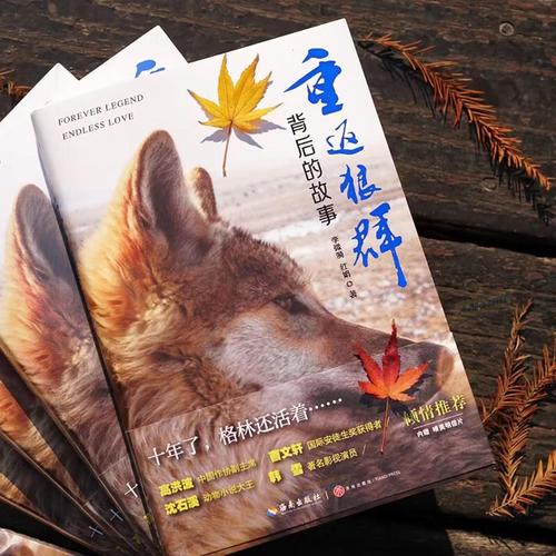 50岁女性分泌物呈黄绿色是什么原因的相关介绍
