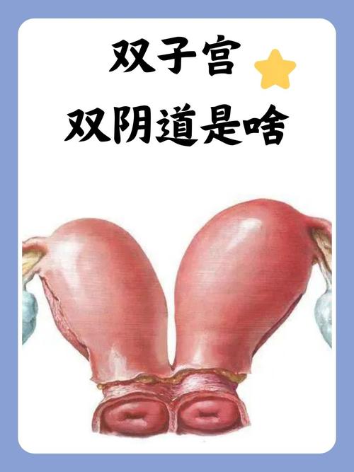 熟女少妇色片一区二区三区亚洲的相关介绍