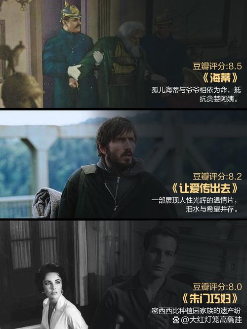 午夜影院普通用户的相关介绍