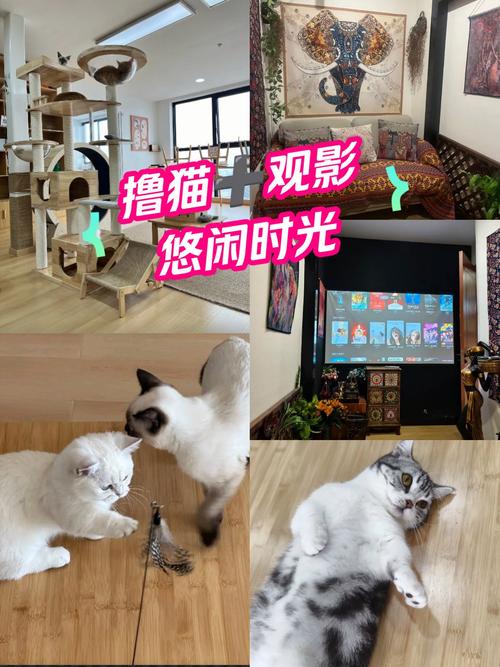 樟木头嘉禾影院的相关介绍