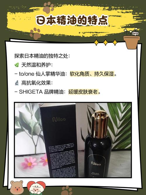 龙港电影院的相关介绍