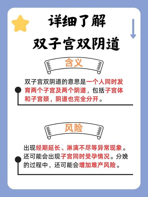 国产操我逼的相关介绍
