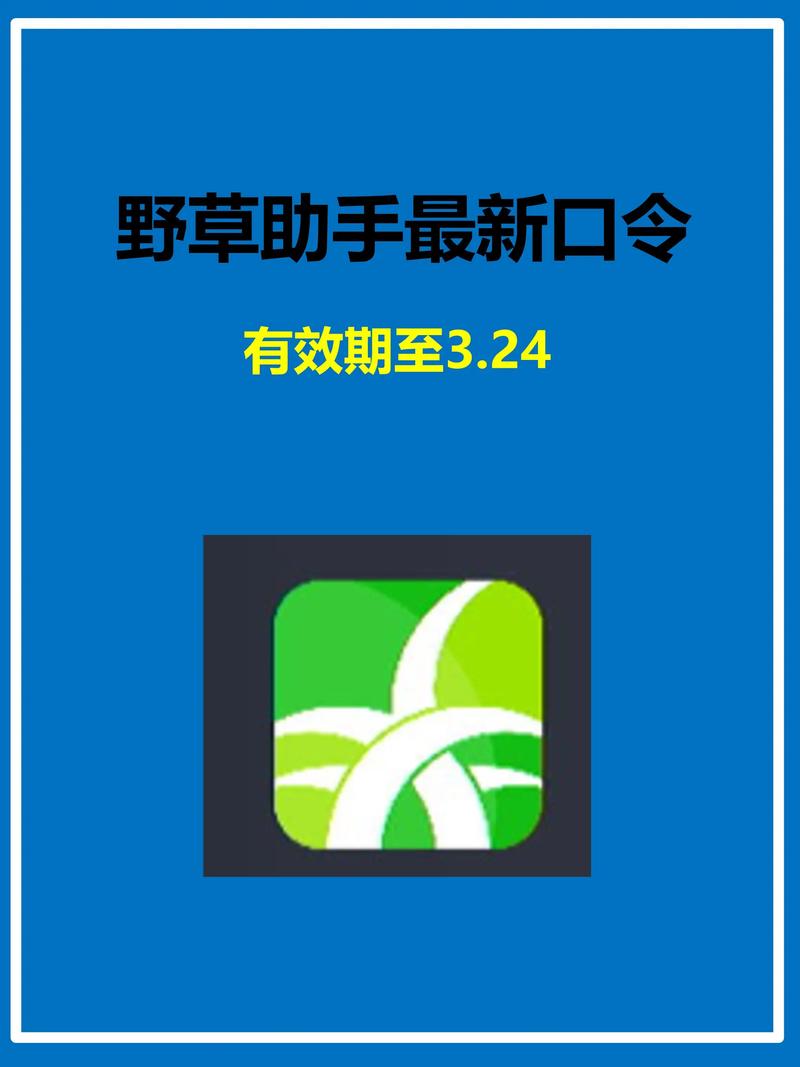 日韩按摩偷拍的相关介绍