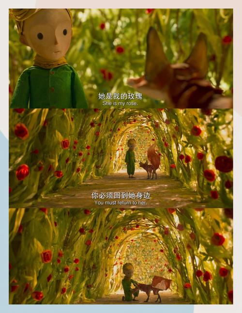jk黑丝黄片的相关介绍