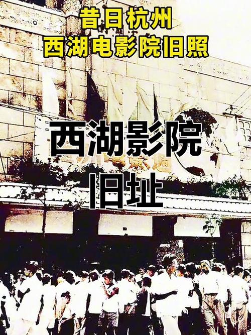 亚洲精品久久久久久蜜桃的相关介绍