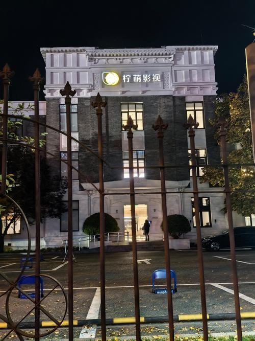 久久精品国产久精国产爱的相关介绍