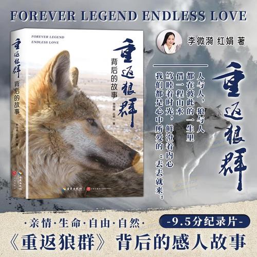 酷猫影院的相关介绍