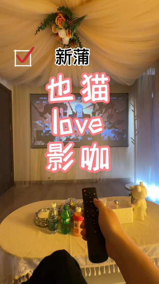 国产盗摄毛片的相关介绍
