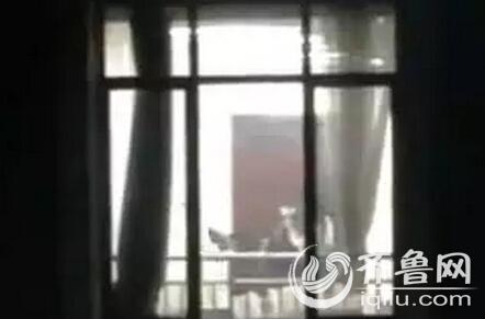 宾馆操人妻的相关介绍