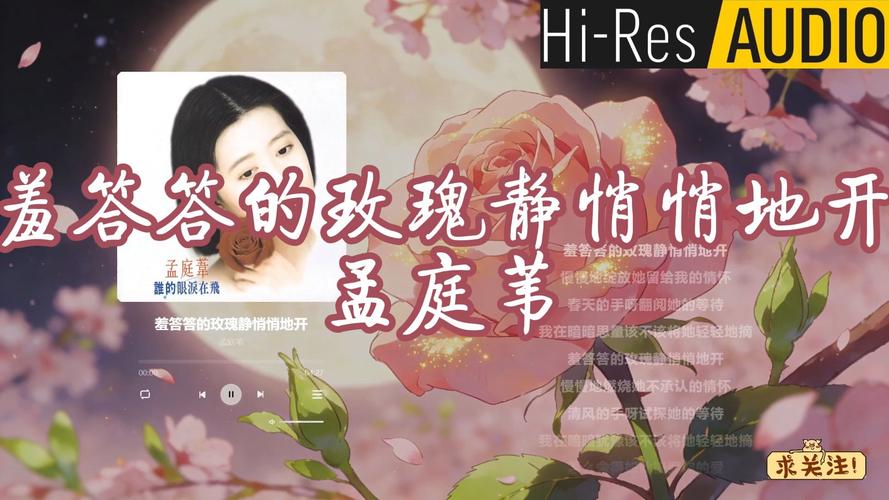 免费看av白丝的相关介绍