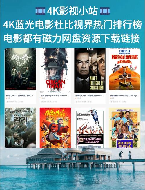 寂寞少妇av一区二区的相关介绍