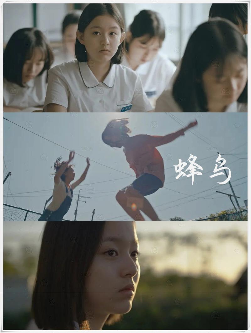小清影院电影下载的相关介绍