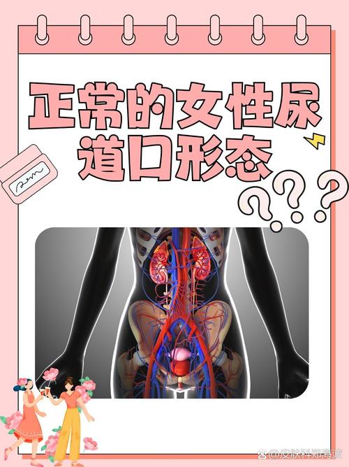 操的冒白浆的相关介绍
